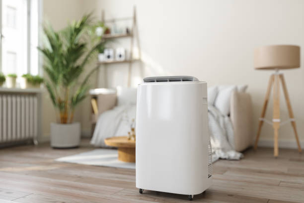 Best Ductless Mini-Split Systems in Canyon Creek, WA